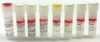 PCR Core kit with Taq DNA polymerase CORET-1KT