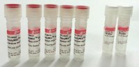 ReadyMix� Taq PCR Reaction Mix 