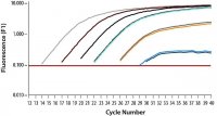 SYBR® Green Quantitative RT-qPCR Kit QR0100-1KT