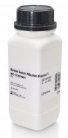 Bovine Serum Albumin Fraction V 