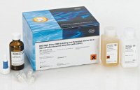 DIG-High Prime DNA Labeling and Detection Starter Kit II 11585614910