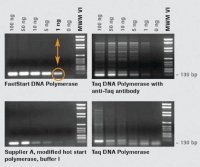 FastStart� Taq DNA Polymerase, 5 U/l 