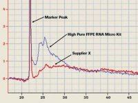 High Pure FFPE RNA Micro Kit 4823125001
