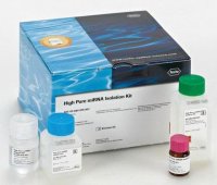 High Pure miRNA Isolation Kit 5080576001