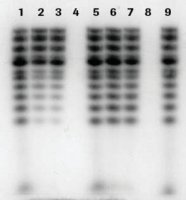 mini Quick Spin DNA Columns 11814419001