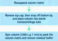 mini Quick Spin RNA Columns 11814427001