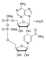 NADH 10128023001