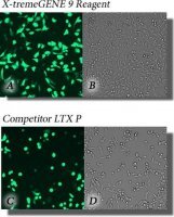 X-tremeGENE� 9 DNA Transfection Reagent 