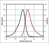 Anti-Chicken IgY (H+L), highly cross-adsorbed, CF� 488A antibody produced in donkey 