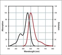 Anti-Chicken IgY (H+L), highly cross-adsorbed, CF� 633 antibody produced in goat 