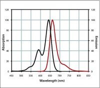 Anti-Chicken IgY (H+L), highly cross-adsorbed, CF� 640R antibody produced in goat 