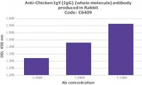 Anti-Chicken IgY (IgG) (whole molecule) antibody produced in rabbit C6409-2ML