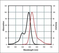 Anti-Goat IgG (H+L), CF� 594 antibody produced in chicken 