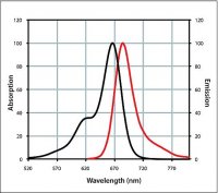 Anti-Goat IgG (H+L), highly cross-adsorbed, CF� 660C antibody produced in donkey 