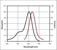Anti-Guinea Pig IgG (H+L), CF� 647 antibody produced in goat 