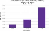 Anti-Hamster IgG (whole molecule) antibody produced in rabbit H1643-1ML