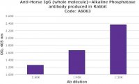 Anti-Horse IgG (whole molecule)Alkaline Phosphatase antibody produced in rabbit 
