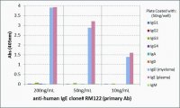 Anti-Human IgE-Biotin antibody, Rabbit monoclonal SAB5600183-50UG