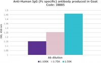 Anti-Human IgG (Fc specific) antibody produced in goat I8885-2ML
