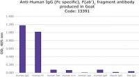 Anti-Human IgG (Fc specific), F(ab)2 fragment antibody produced in goat I3391-1ML