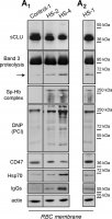 Anti-Human IgG (whole molecule)Peroxidase antibody produced in rabbit A8792-2ML