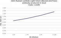 Anti-Human Lambda Light Chain (Bound and Free) antibody produced in goat L1645-1ML