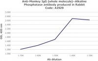 Anti-Monkey IgG (whole molecule)Alkaline Phosphatase antibody produced in rabbit 