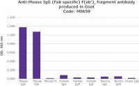 Anti-Mouse IgG (Fab specific) F(ab)2 fragment antibody produced in goat 