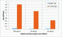 Anti-Mouse IgG2c-Biotin antibody, Rabbit monoclonal SAB5600168-50UG