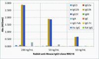 Anti-Mouse IgG3-Biotin antibody, Rabbit monoclonal SAB5600165-50UG