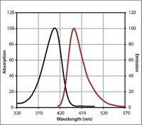 Anti-Rabbit IgG (H+L), CF� 405M antibody produced in goat 