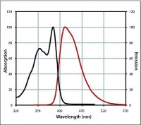 Anti-Rabbit IgG (H+L), CF� 405S antibody produced in goat 