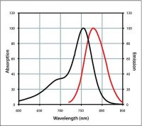 Anti-Rabbit IgG (H+L), CF� 750 antibody produced in goat 