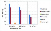 Anti-Rabbit IgG Fab-Biotin antibody, Goat monoclonal SAB5600278-50UG