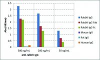 Anti-Rabbit IgG-Biotin antibody, Goat monoclonal 