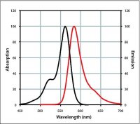 Anti-Rat IgG (H+L), highly cross-adsorbed, CF� 568 antibody produced in donkey 