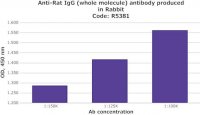 Anti-Rat IgG (whole molecule) antibody produced in rabbit R5381-2ML