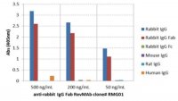 Goat Anti-Rabbit IgG Fab Antibody, clone RMG01 4-1648