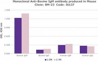 Monoclonal Anti-Bovine IgM antibody produced in mouse 