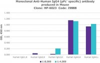Monoclonal Anti-Human IgG4 (pFc specific) antibody produced in mouse 