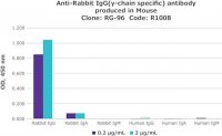 Monoclonal Anti-Rabbit IgG (-chain specific) antibody produced in mouse 