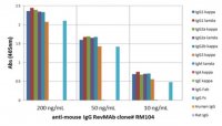 Rabbit Anti-Mouse IgG Antibody, clone RM104 4-1643