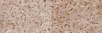 Anti-Aquaporin-4 Antibody, clone mCCD 
