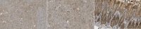Anti-Beclin-2 