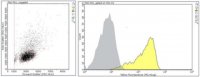Anti-CD11a Antibody, clone BU17 