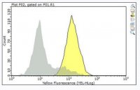 Anti-CD11b/CD18 Antibody, clone mAb107 