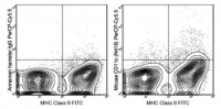 Anti-CD11c Antibody (mouse), PerCP-Cy5.5, clone N418 MABF534