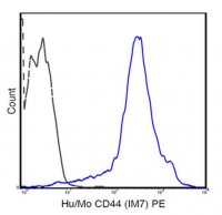 Anti-CD44, (human/mouse), PE, clone IM7 Antibody 