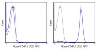 Anti-CD45.1 Antibody (mouse), APC, clone A20 MABF585