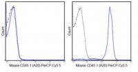 Anti-CD45.1 Antibody (mouse), PerCP-Cy5.5, clone A20 MABF589